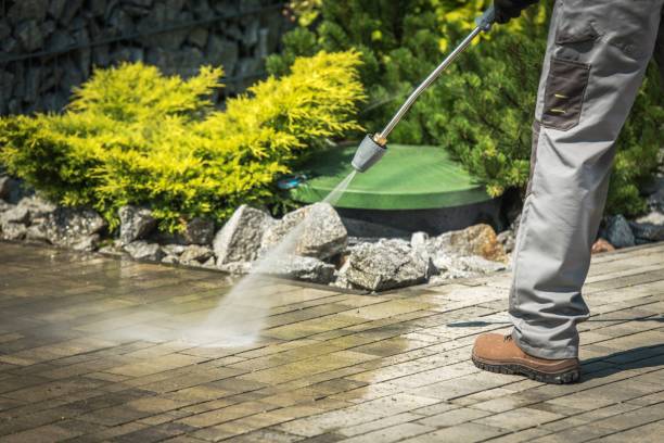 Best Sidewalk and Walkway Cleaning  in Adams, WI
