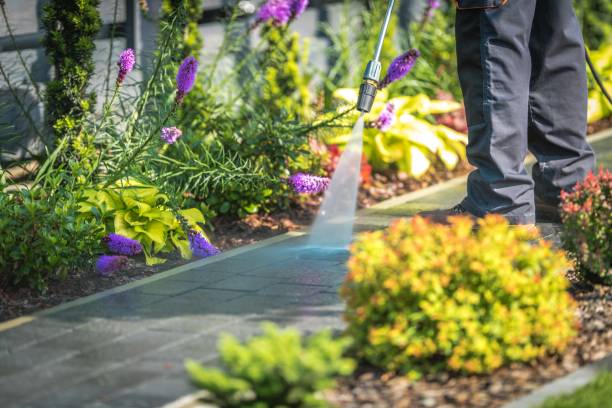 Best Warehouse Cleaning  in Adams, WI